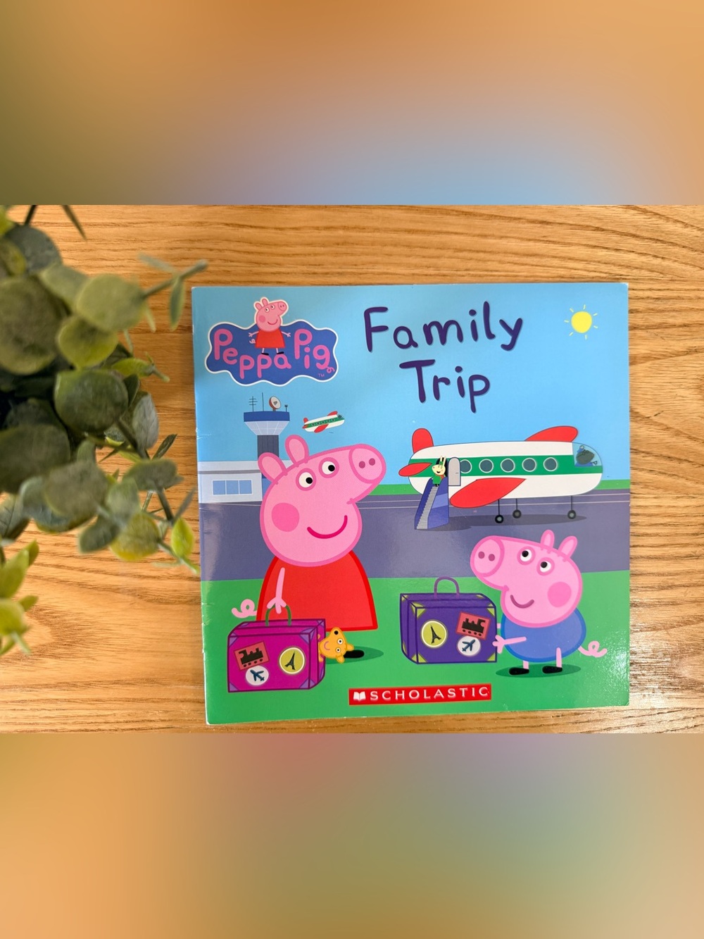πΏ10/$25 β’ Scholastic Peppa Pig Family Trip Paperback